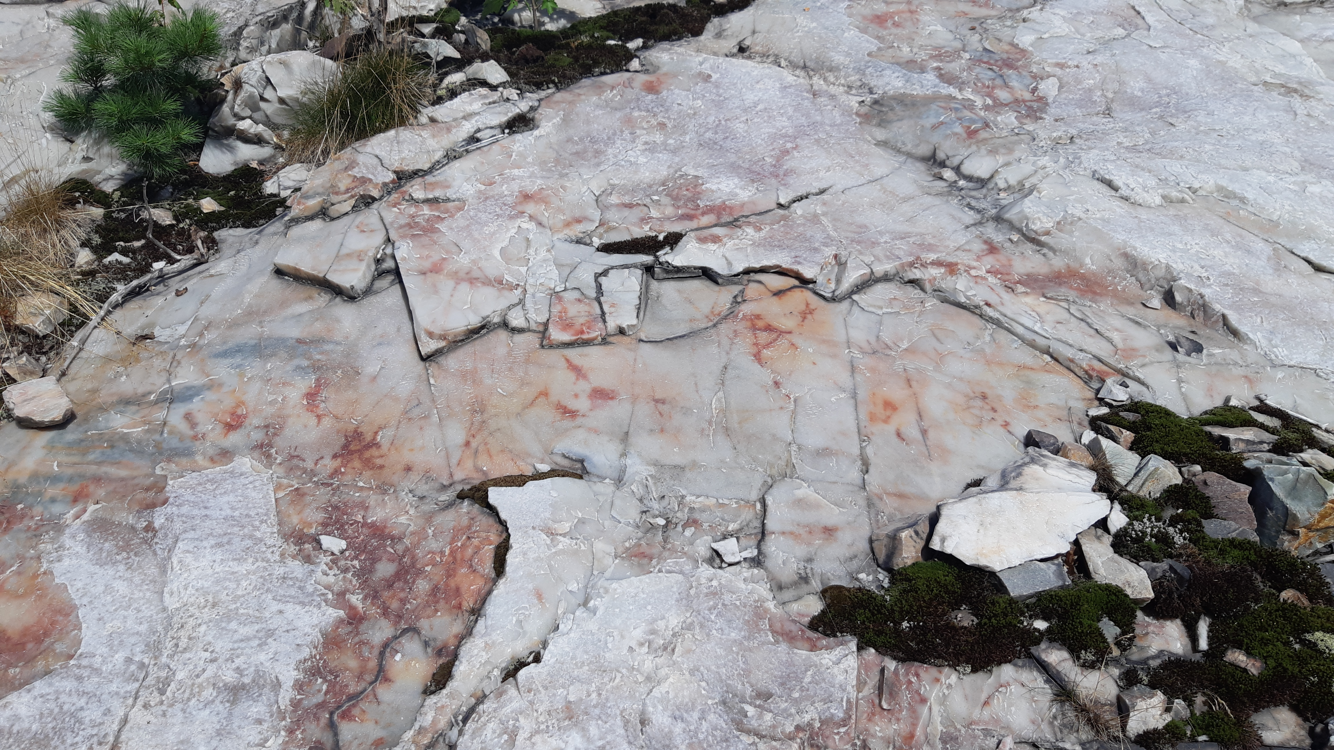 White, pink and grey, smooth quartzite rocks Killarney, Ontario, photographed on the La Cloche Silhouette trail